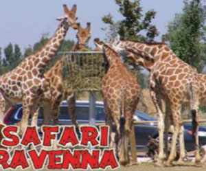 Safari Park Ravenna